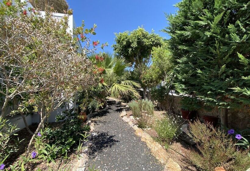 סוויטה משפחתית, Kalya Suites