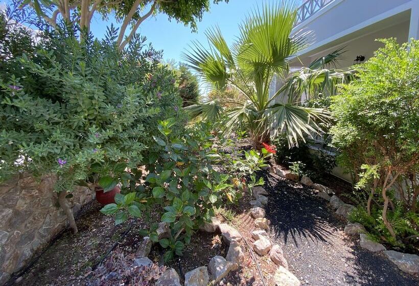 Suite Familiale, Kalya Suites