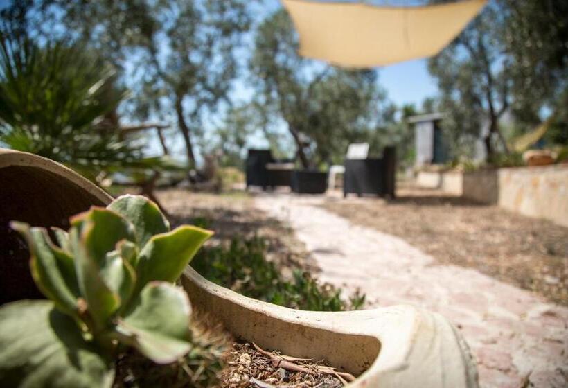 استودیوی سوپریور, Maison Marie