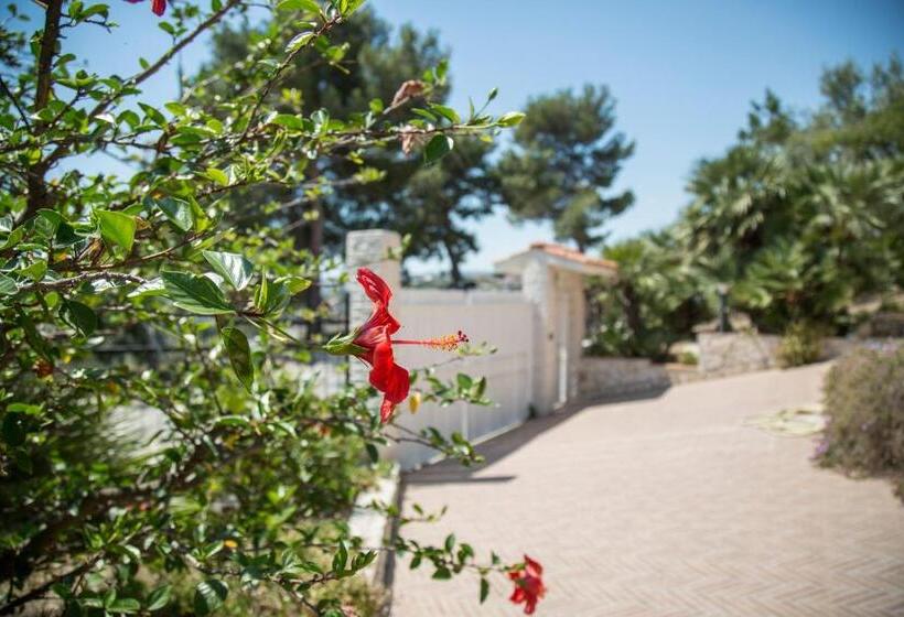 آپارتمان 1 خوابه, Maison Marie