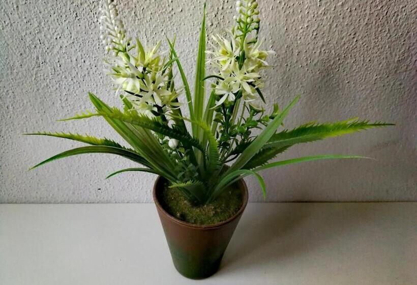 اتاق استاندارد, Casa Do Castelo