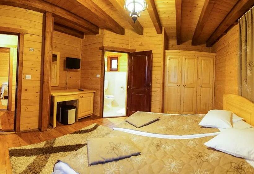 スタンダードルーム, Pensiune Borsa