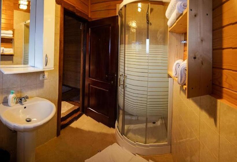 Standard room with outdoor bath, Pensiune Borsa