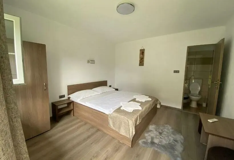 Standard-huone, Pensiunea Denis
