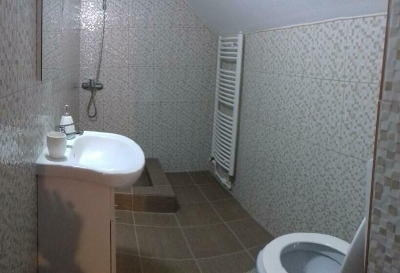 标准间, Pensiunea Denis