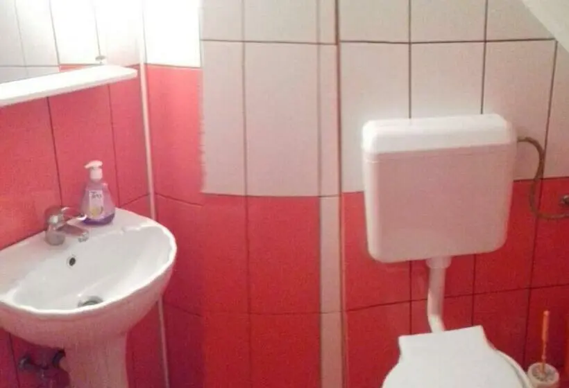 Standard-huone, Pensiunea Denis