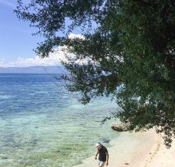Бунгало Стандарт, Pescador View   Beach Resort & Restaurant