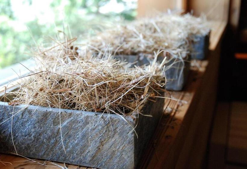 침실 1개 전망 아파트, Residence Comploj