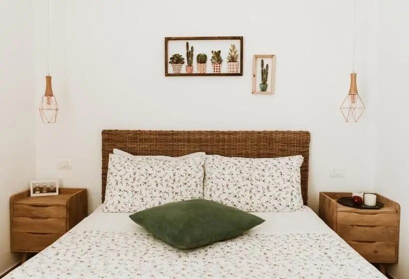 ベーシックルーム, Casa Romito