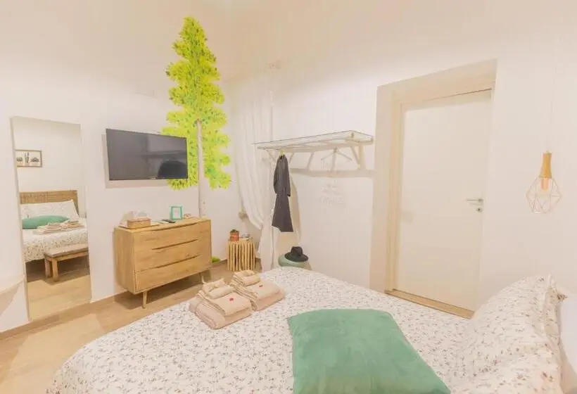 ベーシックルーム, Casa Romito