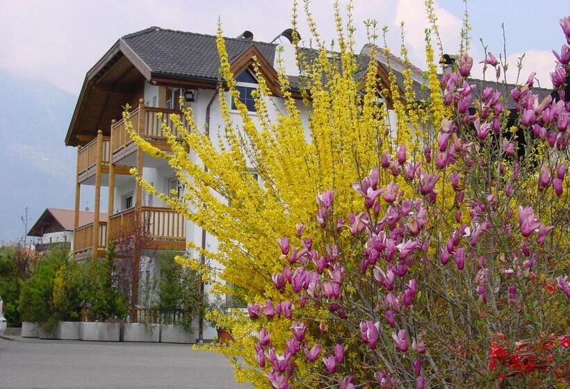 침실 1개 발코니 아파트, Pension Appartment Hecherhof