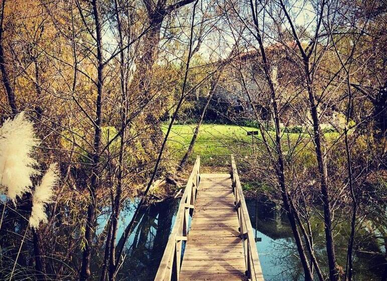 سوییت جونیور, Viñedos San Lucas