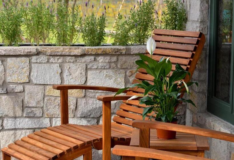 سوییت, Viñedos San Lucas