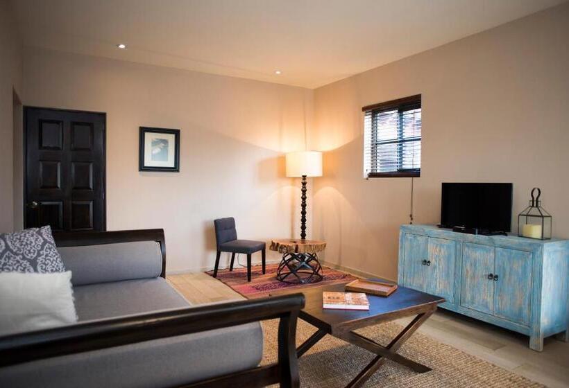 سوییت, Viñedos San Lucas