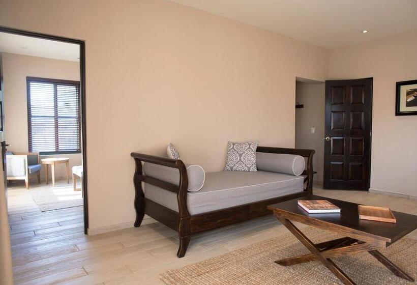 سوییت لوکس, Viñedos San Lucas