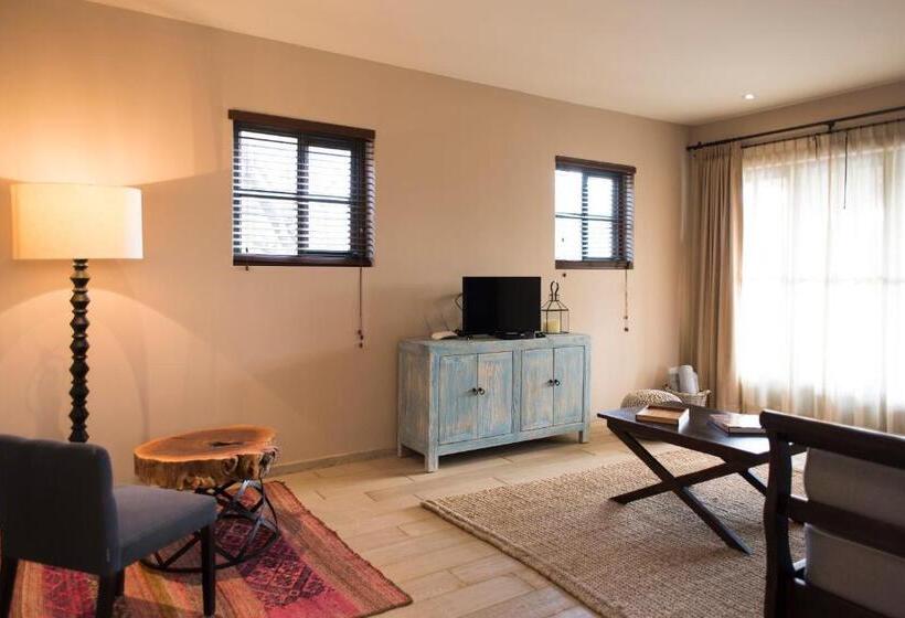 سوییت لوکس, Viñedos San Lucas