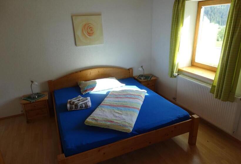 Номер Стандарт Вид на Горы, Gästehaus Posch