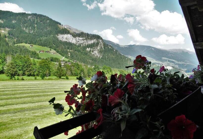 Номер Deluxe с Балконом, Gästehaus Posch