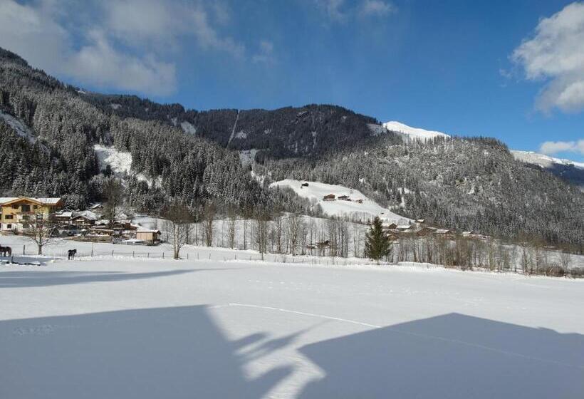 Номер Стандарт Совместная Ванная, Gästehaus Posch