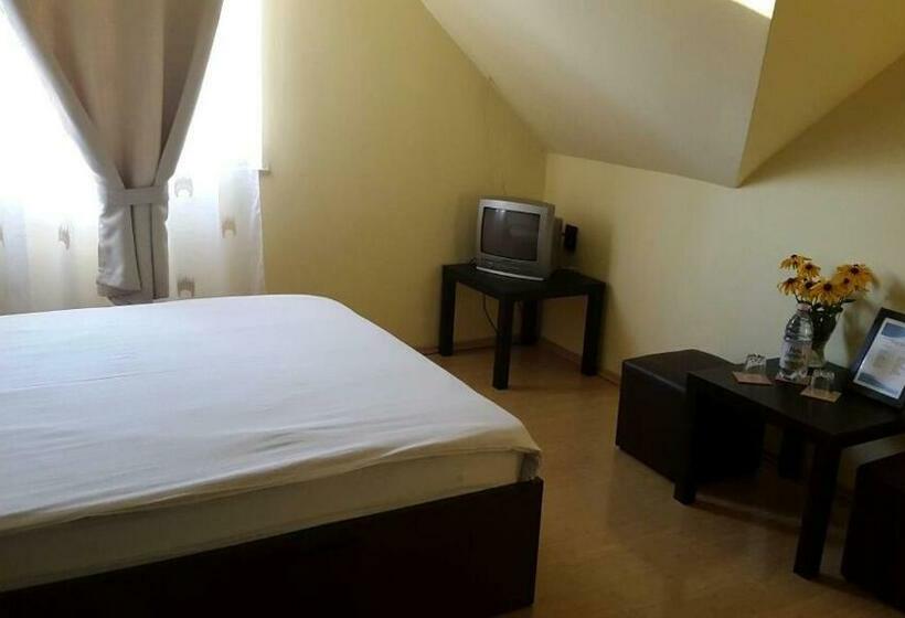 スタンダードルーム, Pensiunea Family Zone