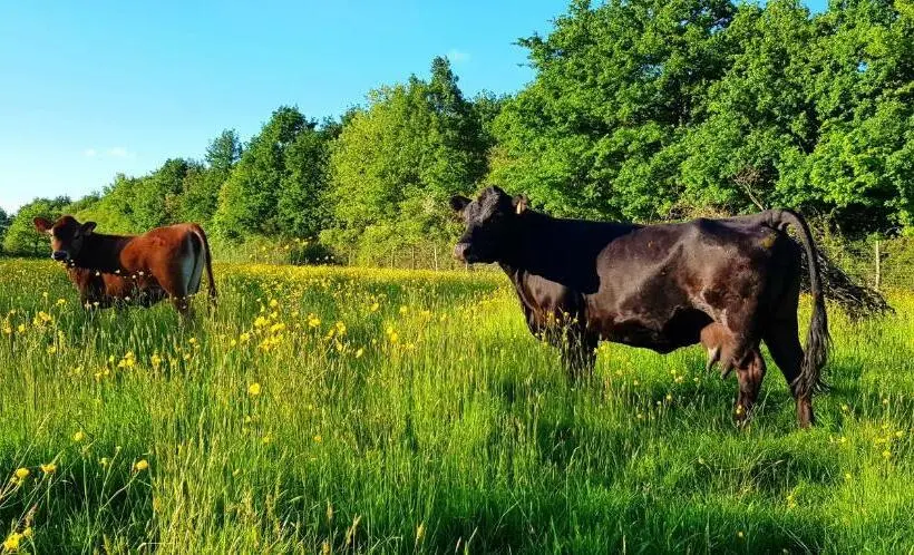 トレーラーヴィラ, La Ferme De Piardiere