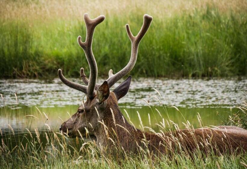 トレーラーヴィラ, La Ferme De Piardiere