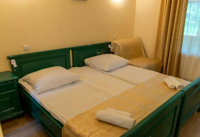 חדר סטנדרט, Pensiunea Sanziana