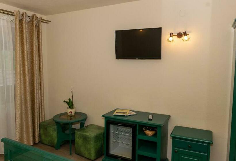 スタンダードルーム, Pensiunea Sanziana