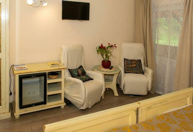 スタンダードルーム, Pensiunea Sanziana