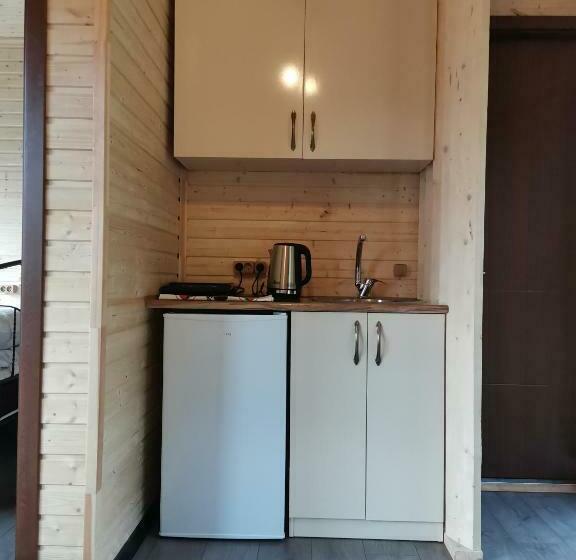 اتاق خانوادگی با چشم‌انداز کوه, Kazbegi Twins