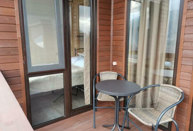 اتاق خانوادگی با چشم‌انداز کوه, Kazbegi Twins