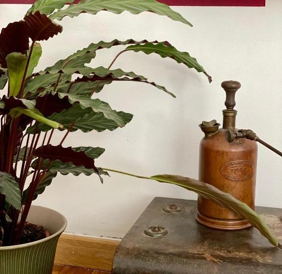 اتاق استاندارد سه نفره, B&b Monteverdi L'arancio