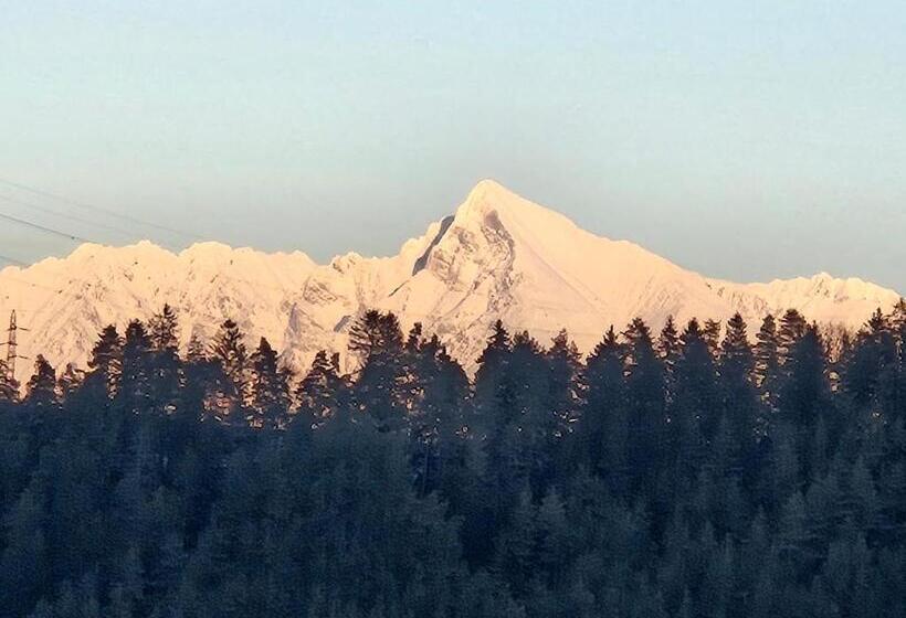 标准间, Penzión U Koníka