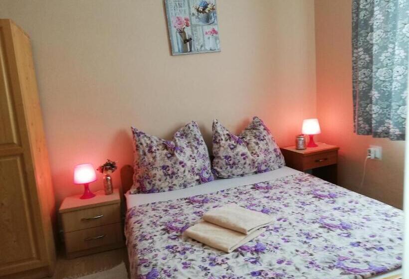 标准间, Penzión U Koníka