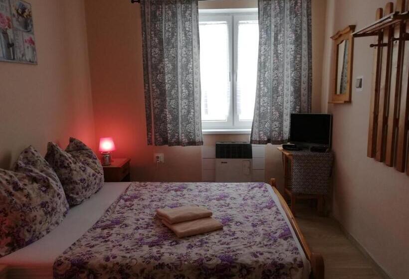 标准间, Penzión U Koníka