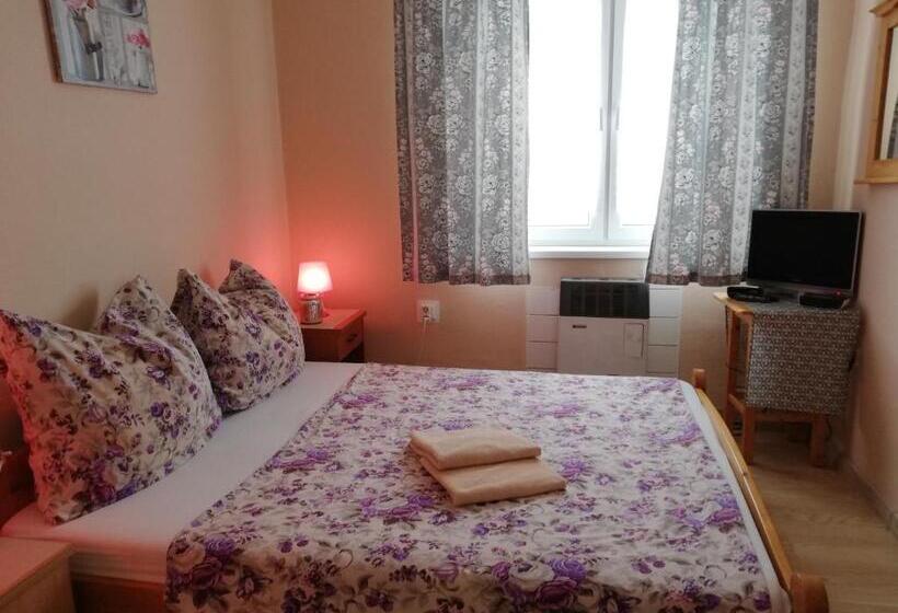 标准间, Penzión U Koníka