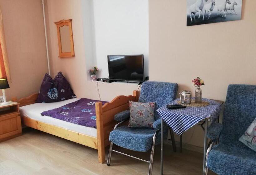 标准三人间, Penzión U Koníka