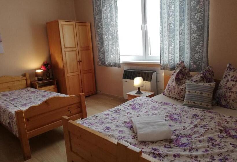 四人标准间, Penzión U Koníka