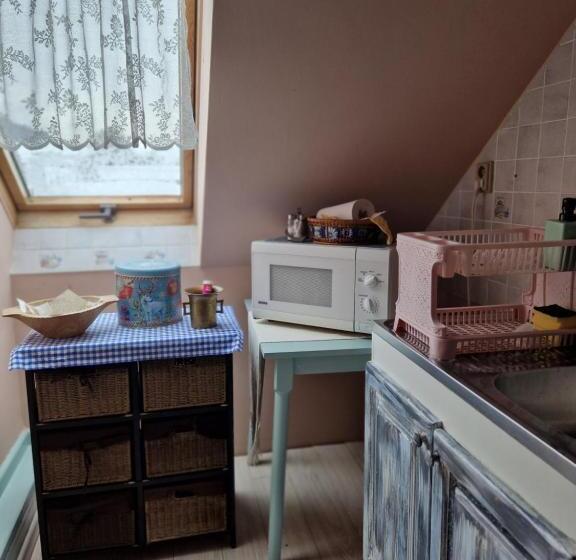 四人标准间, Penzión U Koníka