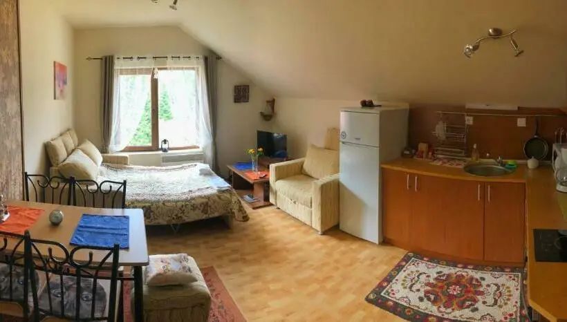 景色の見える一ベッドルームアパートメント, ски апартамент, студио хрис, лъки пампорово