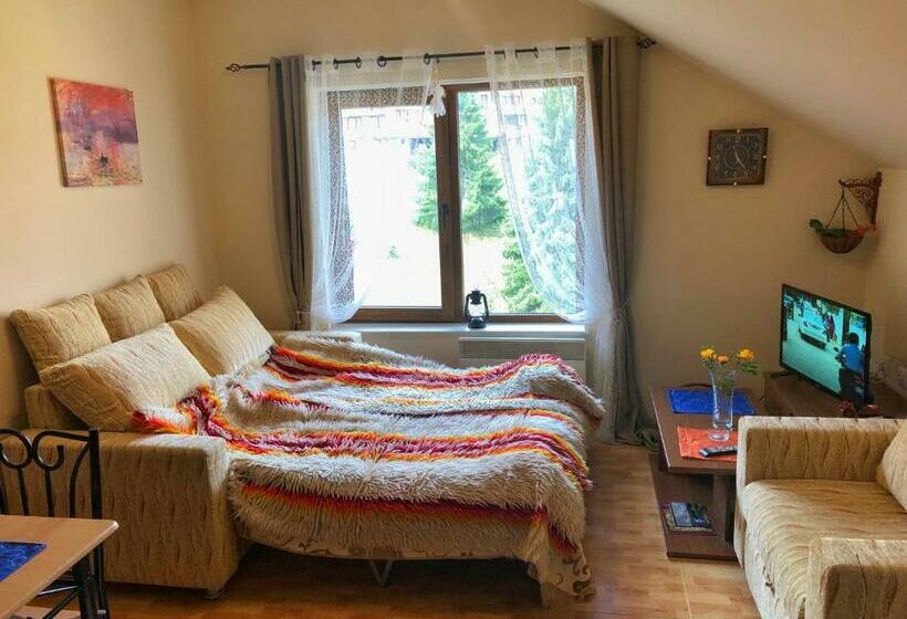 带1个卧室带观景的公寓, ски студио хрис в комплекс лъки пампорово