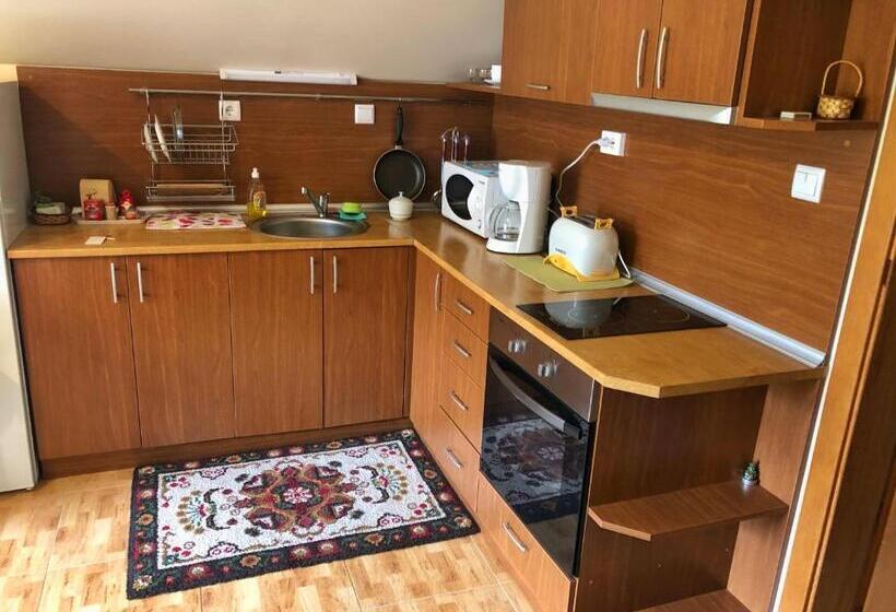 带1个卧室带观景的公寓, ски студио хрис в комплекс лъки пампорово