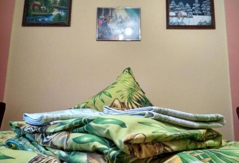 Economy Zimmer, садиба у василя