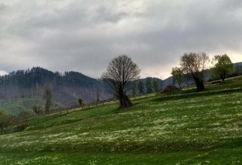 StandaardKamer, садиба у василя