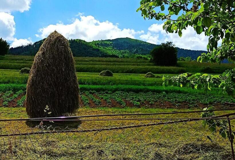 Ekonomiskt Trippelrum, садиба у василя