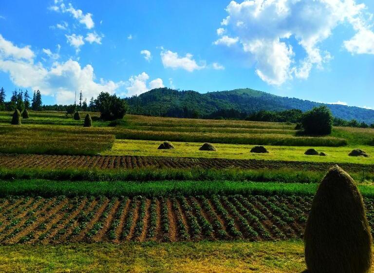 Ekonomiskt Rum, садиба у василя