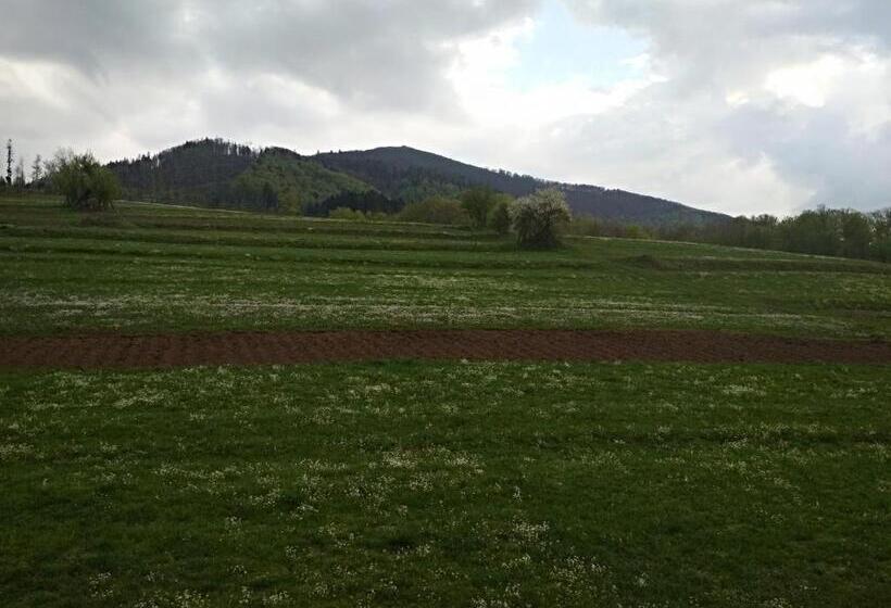 Номер Стандарт Трехместный, садиба у василя