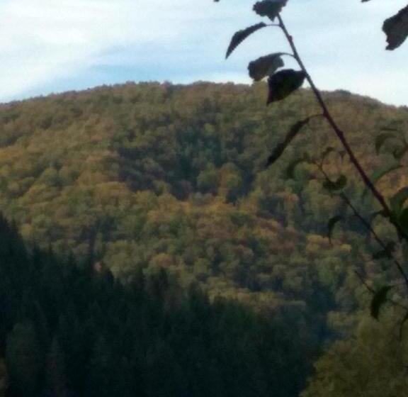 Fyrbädds Standardrum, садиба у василя