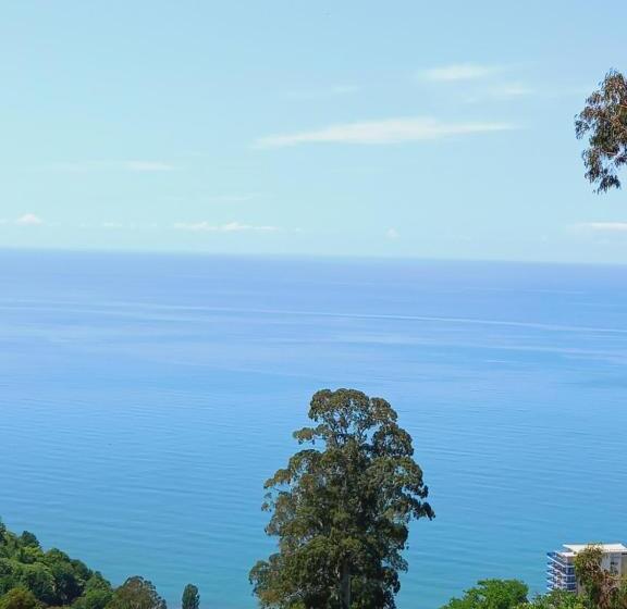 اتاق خانوادگی, Kvariati Villa