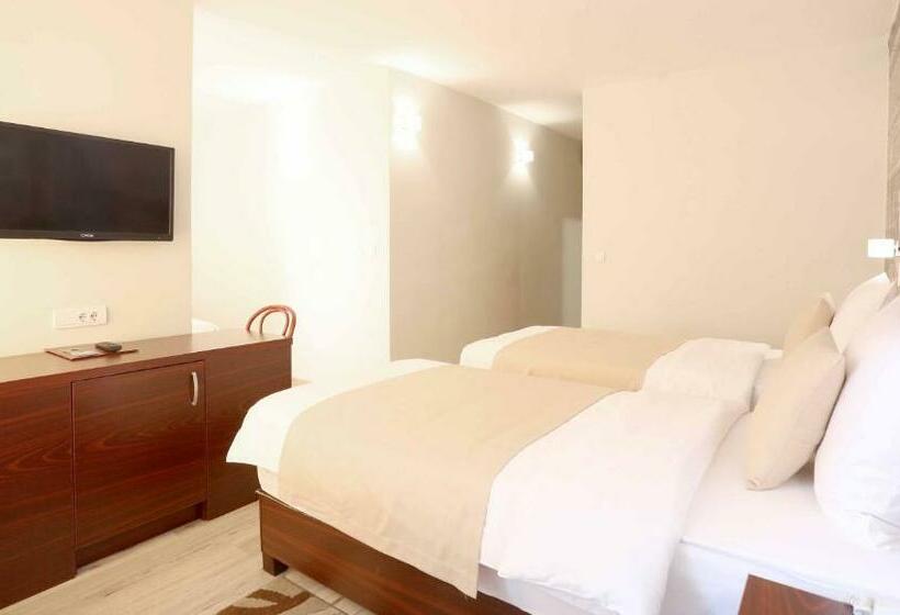 اتاق استاندارد, Park